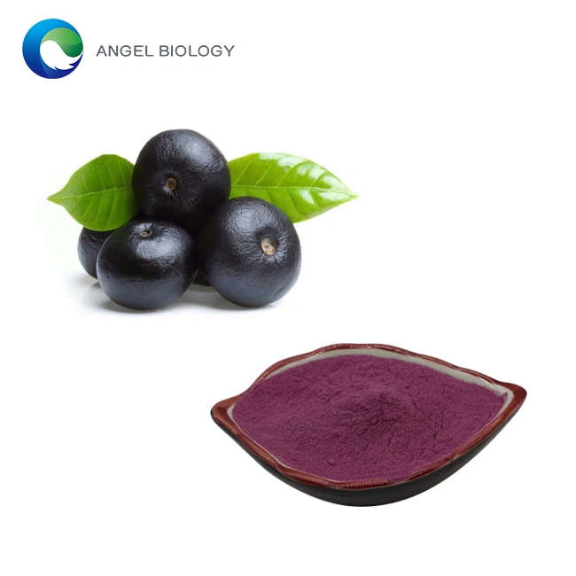 What are the healthy Benefits of Acai Berry Extract Powder?